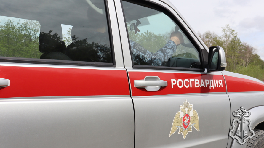  Итоги работы за 7 месяцев 2025 года подвели в Отделе вневедомственной охраны Росгвардии по Камчатскому краю