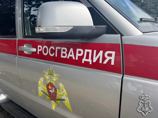 Росгвардия предлагает жителям Камчатки услугу по охране транспортных средств