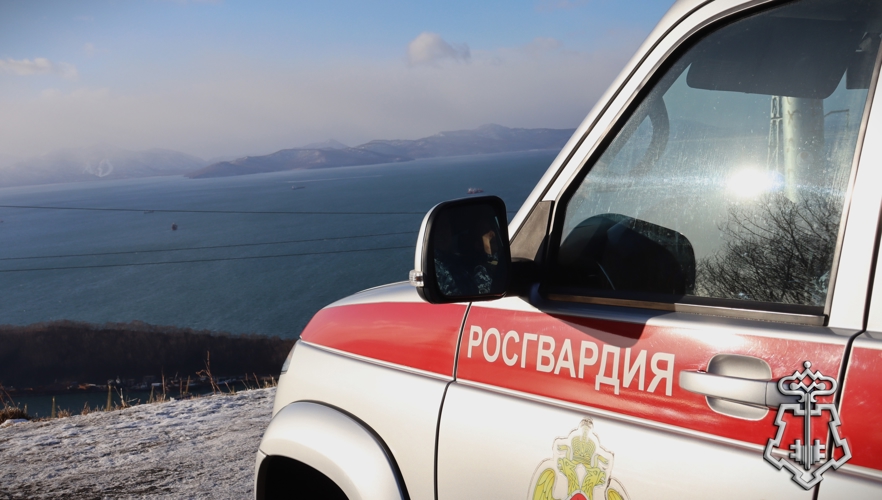 Сотрудники вневедомственной охраны задержали нетрезвого водителя на Камчатке